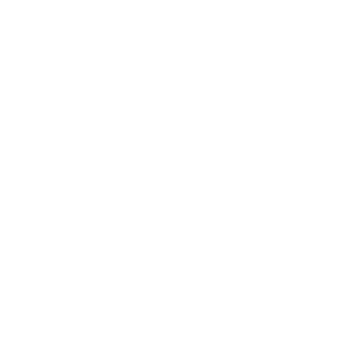 Sentry icon
